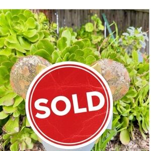 Not for Sale No Longer Available Disney Parks Ears